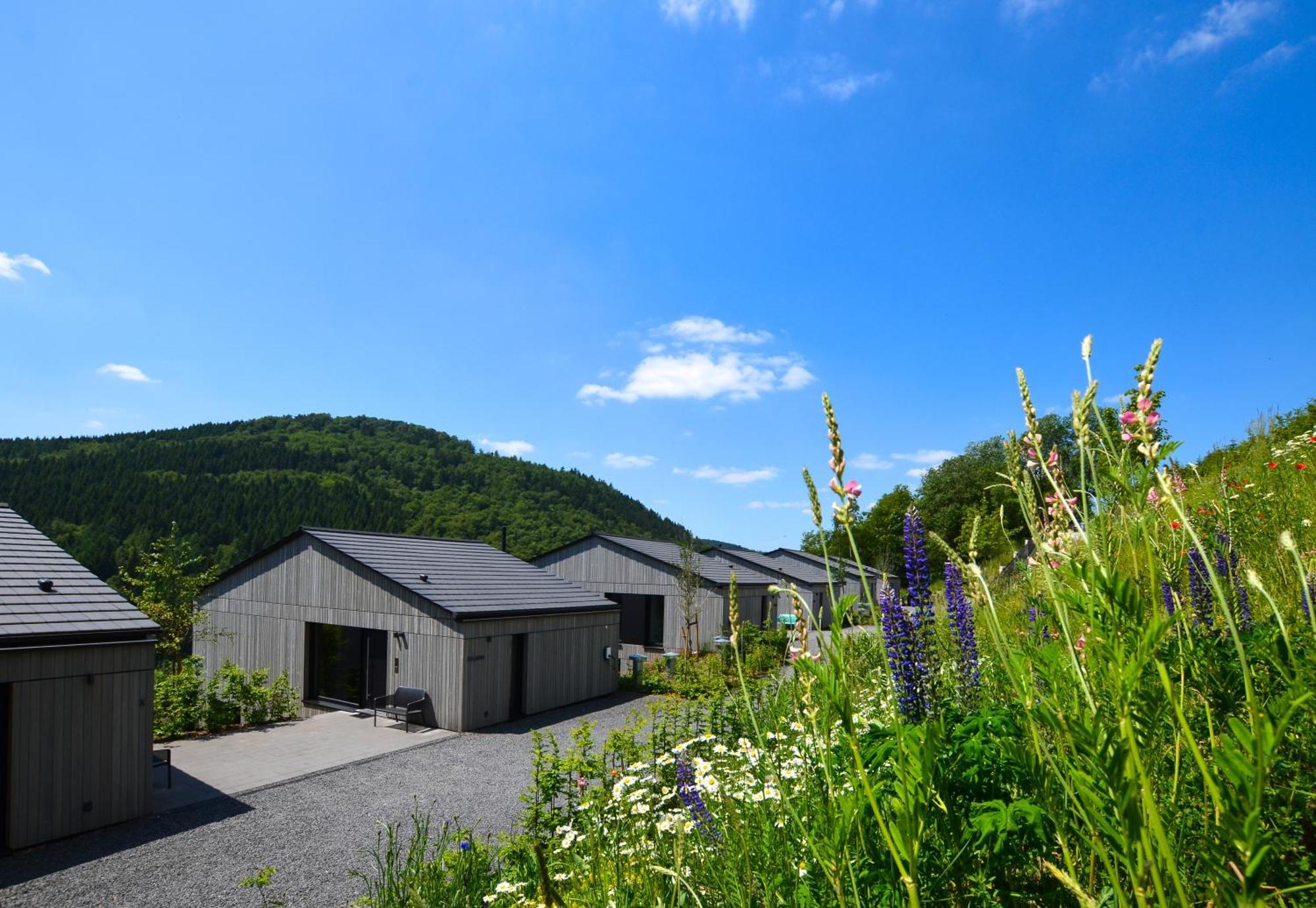 Sauerland Lodge - Haus Julius Винтерберг Экстерьер фото